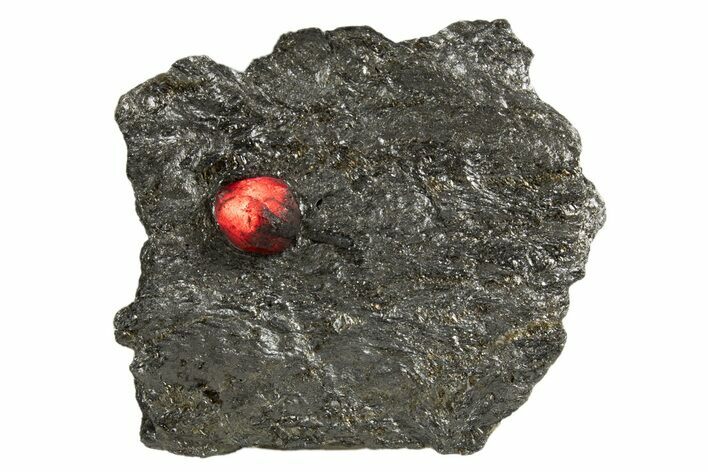 Red Embers Garnet in Graphite - Massachusetts #313511